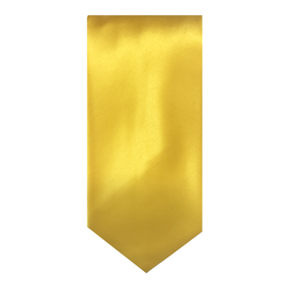 Brioni Solid Silk Tie